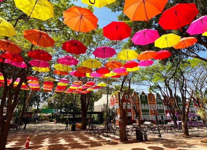 FESTA DAS FLORES E MORANGOS