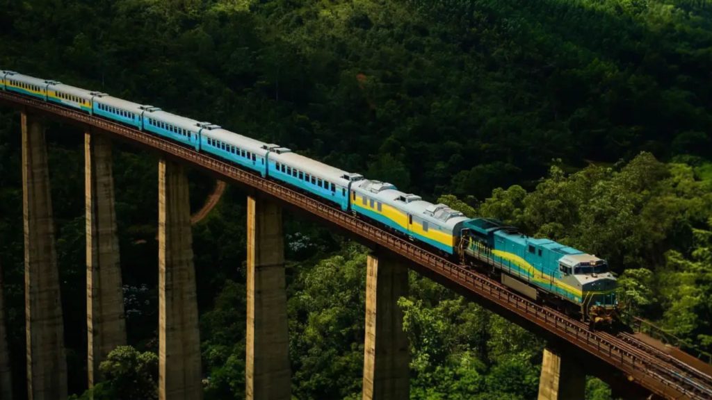 TREM2