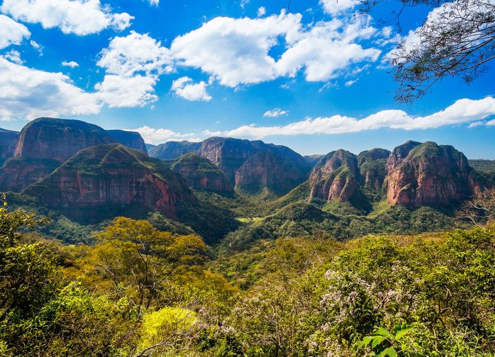PANTANAL E BOLÍVIA